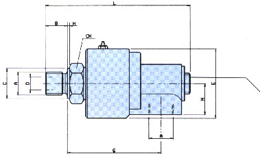 Ht-P.jpg (26426 bytes)